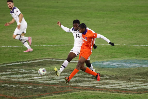 具威胁的头 具威胁的头