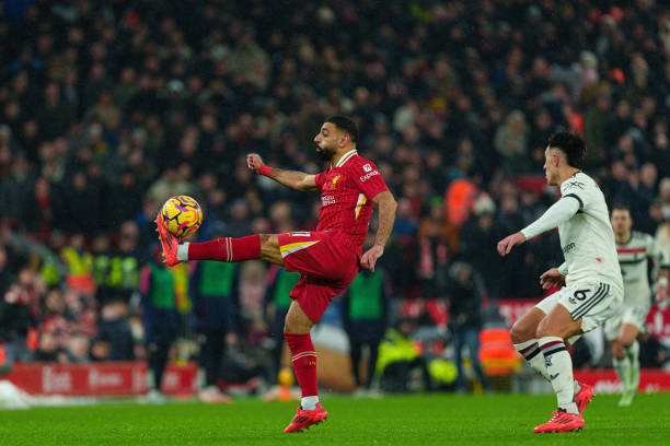 多數時候 多數時候